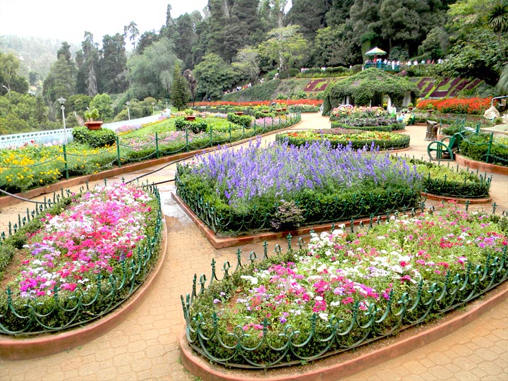 Ooty Tour Package
