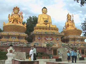 Pilgrimage Tour of Buddha