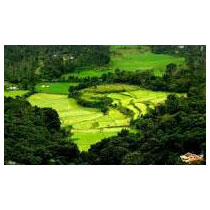 3N/4D Mysore Coorg Package