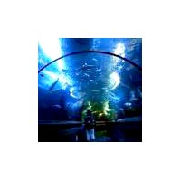 Singapore Malaysia Tour Package From Trichy / Tamilnadu