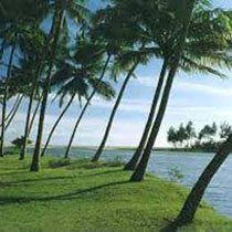 Honeymoon In Kerala Tour