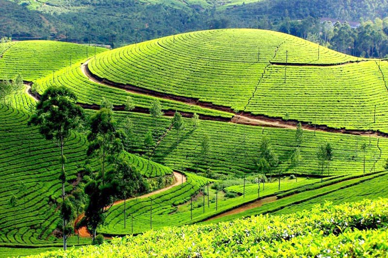 South India Tour Package