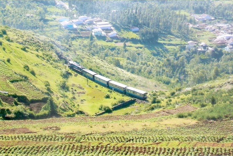 Karnataka and Kerala Tour