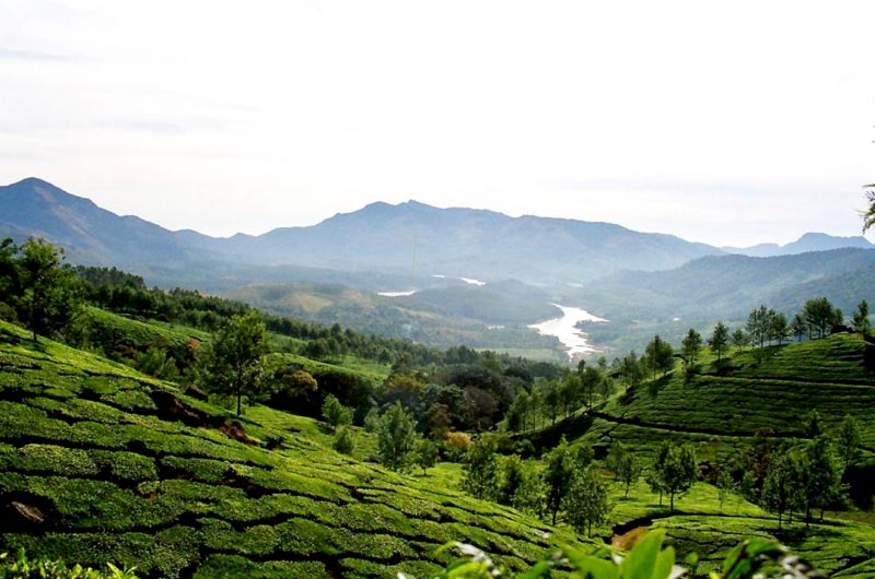 Kerala Kanyakumari 13 Days Tour