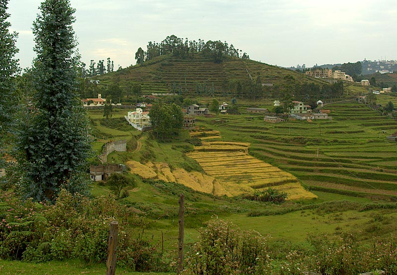 EX. Bangalore Tour Package