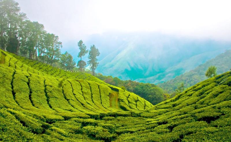 Kerala Holiday Tour Package 7D 6N