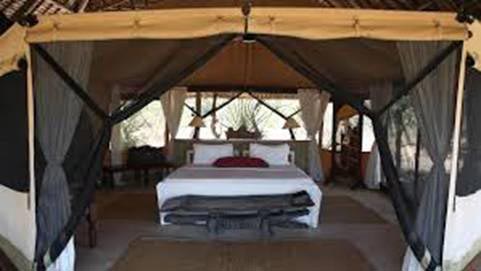 Easter Offer For 3 Days In Masaai Mara Tour