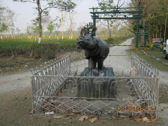 Lataguri - Kalimpong - Darjeeling Tour