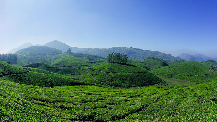 Kerala Deluxe Hill Station Package With Backawater 5days