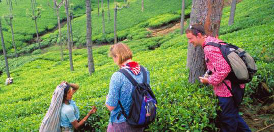 Kerala Deluxe Package 3Days