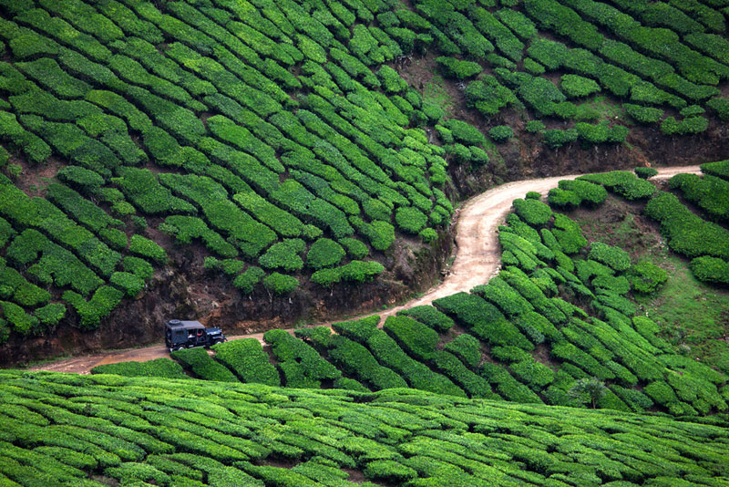 Hill Station Package (munnar Package)