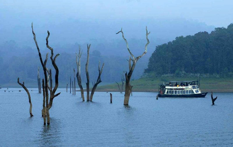 Kerala package with backwater 4nt /5days 