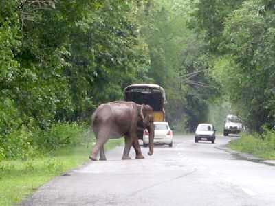 Wayanad Tour Package