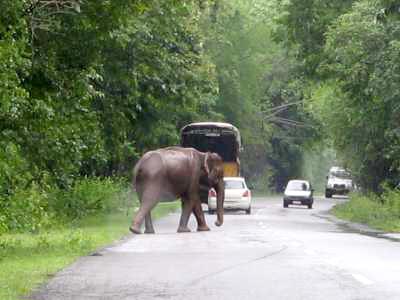 Summer Vacation Tour