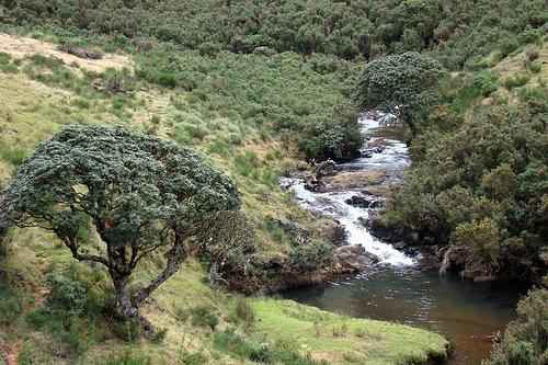 Summer Vacation Tour