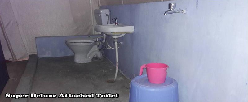 Camping Packages in Rishikesh Tour