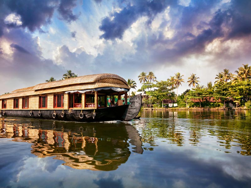 Holiday In Munnar, Wildlife & Backwaters Of Kerala Tour