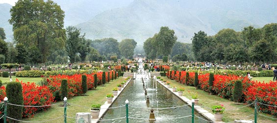 Bagh - E - Kashmir Tour
