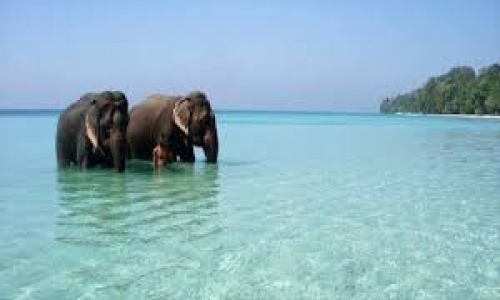 7 Days Amazing Andaman Tours