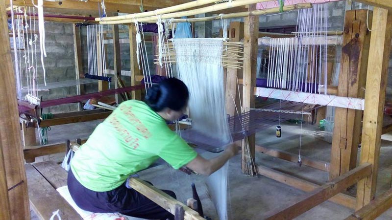 Mulberry Tour Package