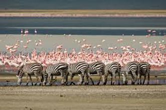 Discover The Secrets Of Northern Tanzania Tour