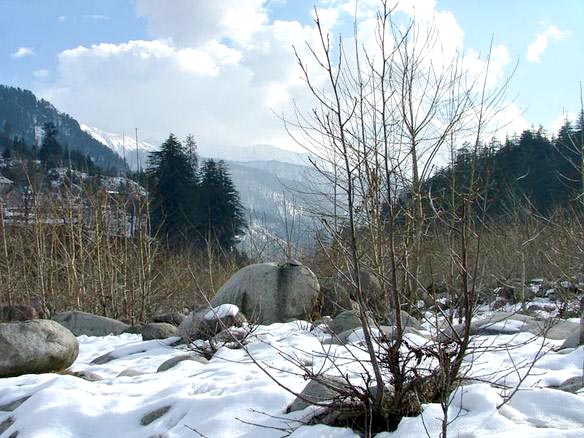 Special Manali Tour