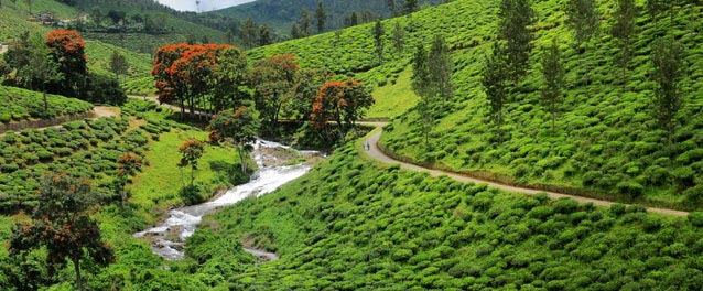 Honeymoon In Majestic Kerala Itinerary