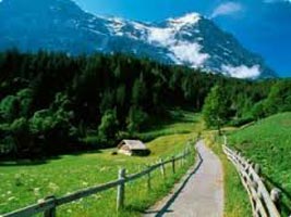 Holiday In Glorious Himachal Tour