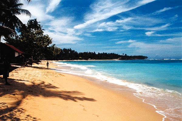 Exotic Sri Lanka Sri Lanka Tour