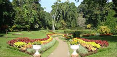 Sri Lanka Honeymoon Package