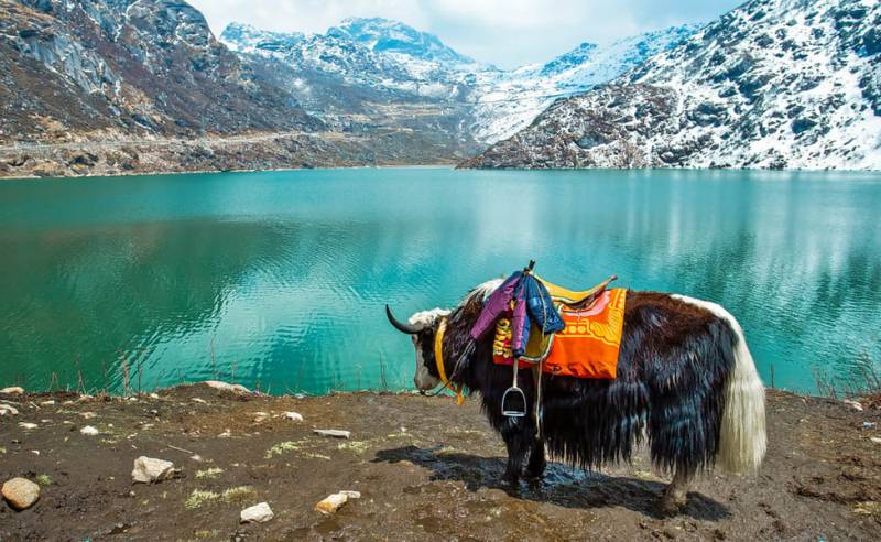 6 Days 5 Nights Sikkim Group Tour Package