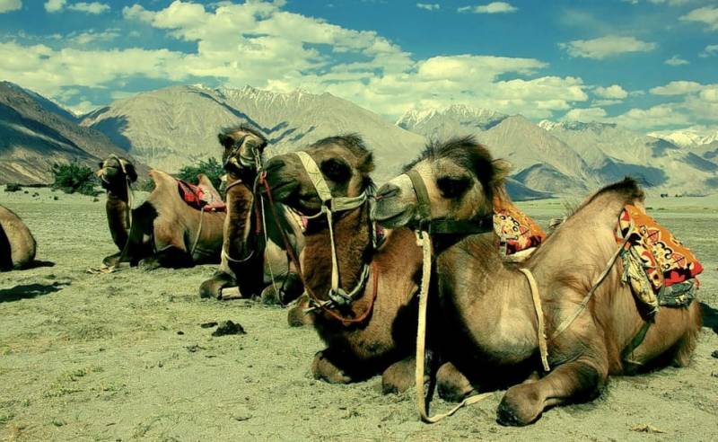 7 Days 6 Nights Leh Ladakh Bike Trip Package