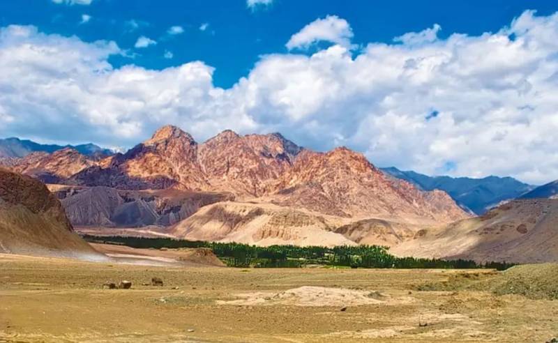 10 Nights 11 Days Srinagar - Leh - Manali Group Sightseeing Tour Package