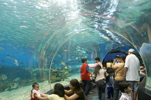 Best of Singapore Tour