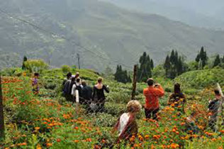 Darjeeling Sikkim Splendour Tour