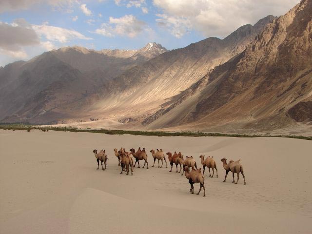 Ladakh With Manali Tour
