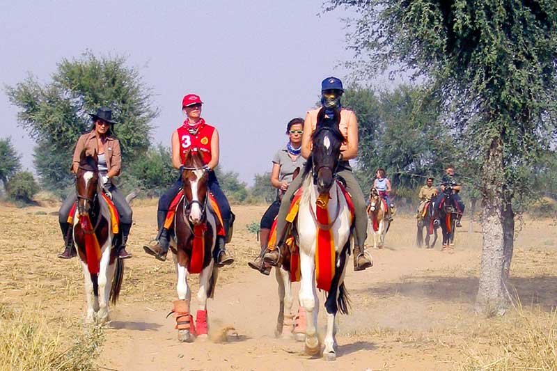 Horse Safari In Rajasthan Tour