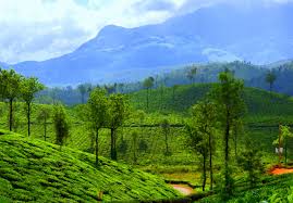 Green Kerala Holidays