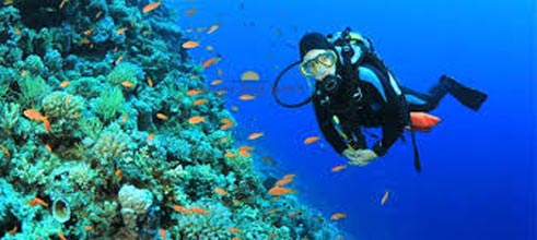 Experience Andaman Package