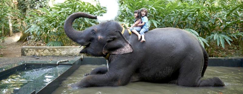 Munnar - Thekkady - Kumarakom (Alleppey Backwaters) Tour