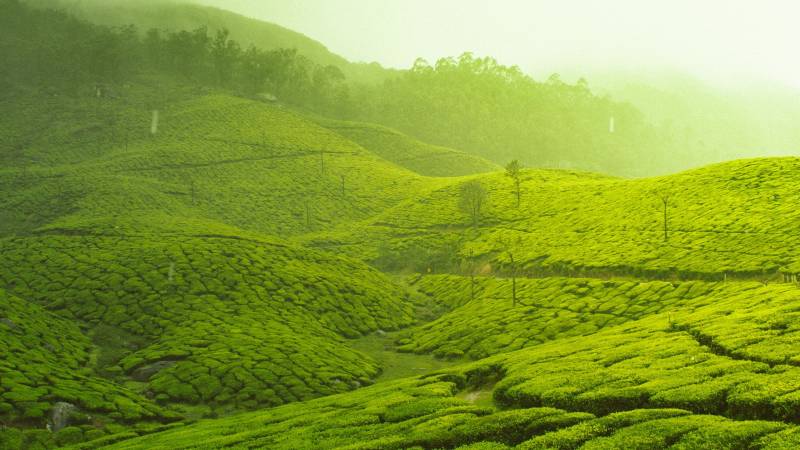 Ooty Package - 2 Nights 3 Days