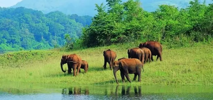 1 Night 2 Days Coimbatore to Ooty