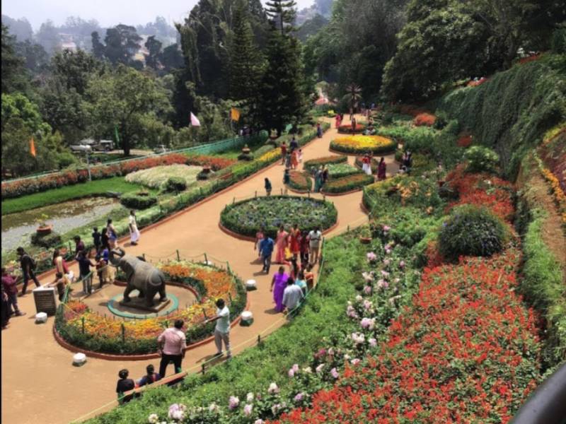 1 Night 2 Days Coimbatore to Ooty