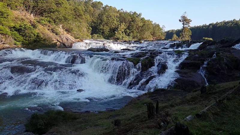 1 Night 2 Days Coimbatore to Ooty