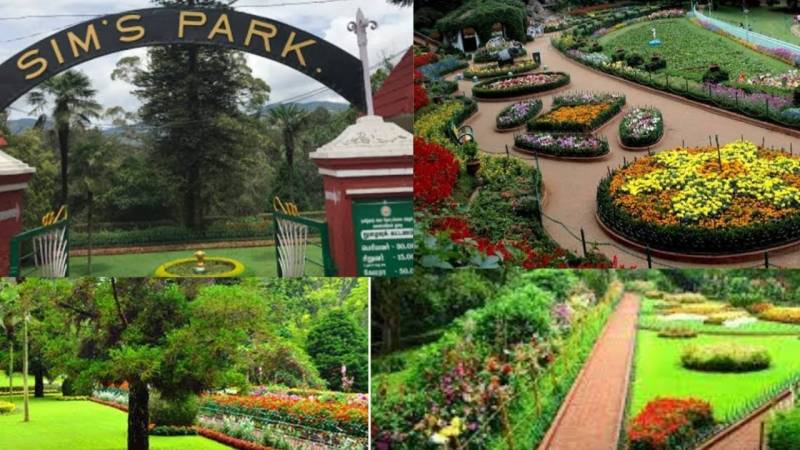 1 Night 2 Days Coimbatore to Ooty