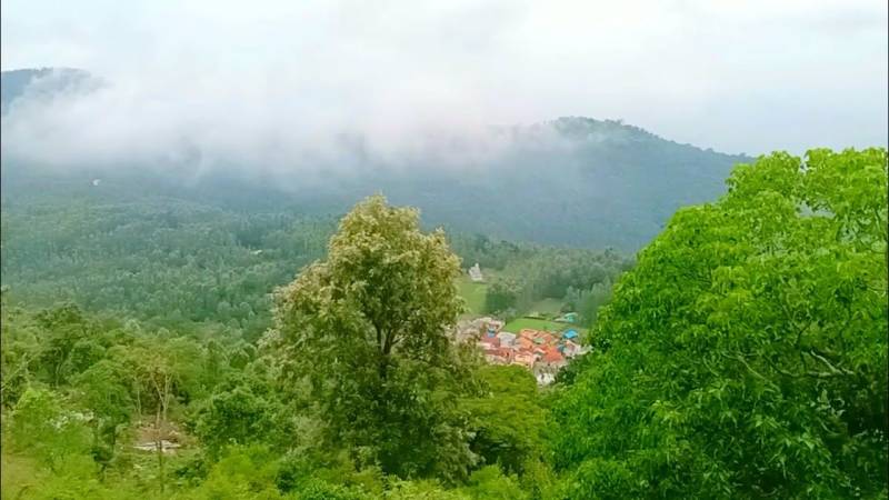 1 Night 2 Days Yercaud Tour Package