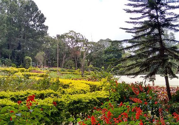 1 Night 2 Days Yercaud Tour Package