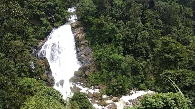 2 Night 3 Days- Munnar Tour Package