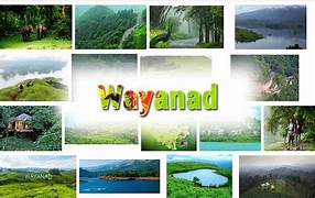 2 Night 3 Days - Wayanad Tour Package Image