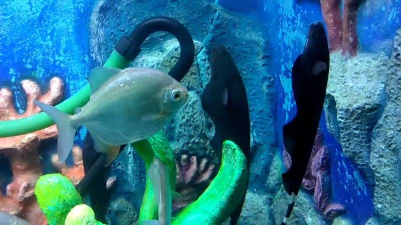 3 Night 4 Days -Goa Package